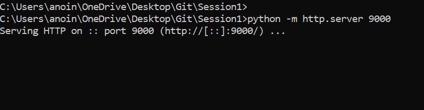 Set Up Local Server in CMD prompt